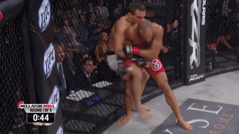 EdwardGallo1 giphyupload GIF