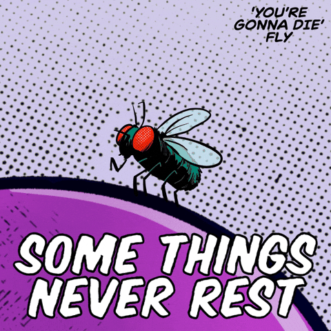 Fly Keep Moving GIF by VeeFriends