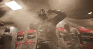 Celebrate World Series GIF by MLB