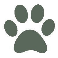 pawsandmemories knipperend pawsandmemories hondenpoot groenehondenpoot Sticker