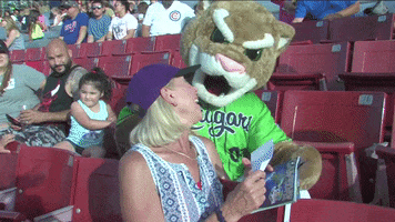 Gocougs Ozzie T Cougar GIF by Kane County Cougars