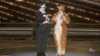 Oscars GIF by The Academy Awards