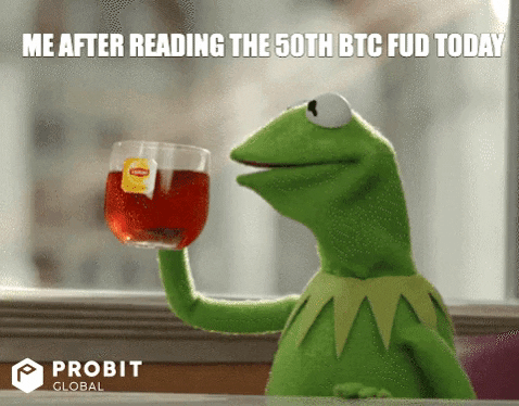 Tea Crypto GIF by ProBit Global