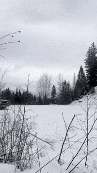 Toyota Camry GIF