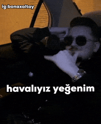 Bonaxaltay bonaxaltay mergen havalıyız yeğenim mergen havalıyız yeğenim GIF