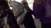 Unitus Bartier GIF