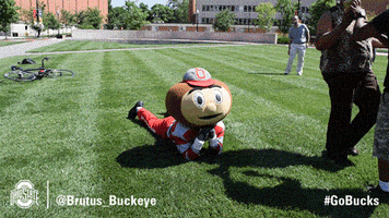 Ohio State Sport GIF by Ohio State Athletics