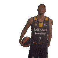 Liga Endesa Ball Sticker by ACB