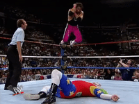 wwe sports wwe wrestling 1993 GIF