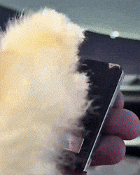 Super Car Ferrari GIF