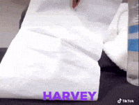 Amy Harvey GIF