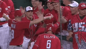 Congressional Baseball Game GIF by GIPHY News