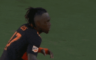 Celebrate Black Panther GIF by Major League Soccer