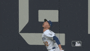 Jumping Major League Baseball GIF by MLB