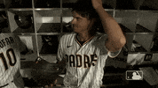 Lets Go Yes GIF by MLB