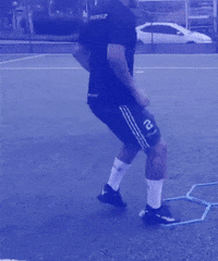 GIF by Formigueiro