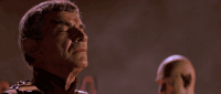 GIF by Giphy QA