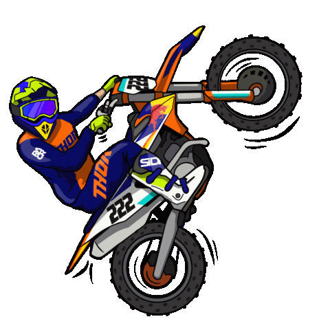 Motocross Cairoli Sticker by RACR