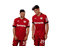 Bayer 04 Hello Sticker by Bayer 04 Leverkusen