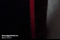 Rock Hyrax Hello GIF