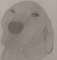 jUrUsenpai giphyupload giphycreatortest dog rizz GIF