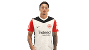 Come Eintracht Frankfurt Sticker by Bundesliga