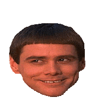 dumb STICKER by imoji