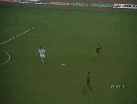 RudiNewsletter giphyupload pressing romacolonia GIF