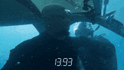 Specialforcesfox GIF by Reality Club FOX