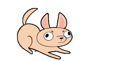 Animation Notify Sticker