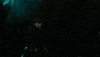 httyd 2 GIF by How To Train Your Dragon