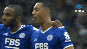 Premier League Football GIF by MolaTV