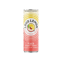 Peach Sparkling Sticker by Loud Lemon