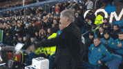 Debut Everton GIF by MolaTV