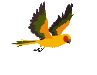 Bird Fly Sticker
