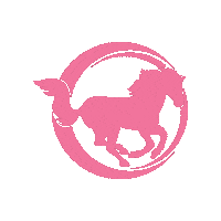 Valentines Day Cheerleading Sticker by Mustang Cheer