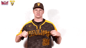 The Valley Mvc GIF by Missouri Valley Conference