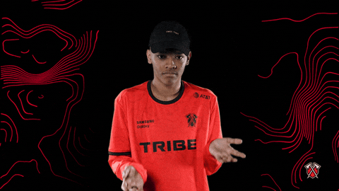 No Idea What GIF by Tribe Gaming
