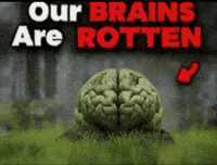 Nazoom1 brain rot brainrot rotten GIF