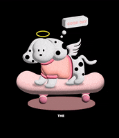 TheAnimalHeaven cat dog animals travel GIF