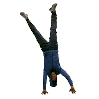 upside down lol Sticker by Cobra Kai