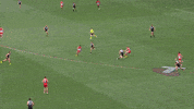 Todd Marshall Afl GIF by Port Adelaide FC