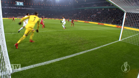 werder leverkusen GIF