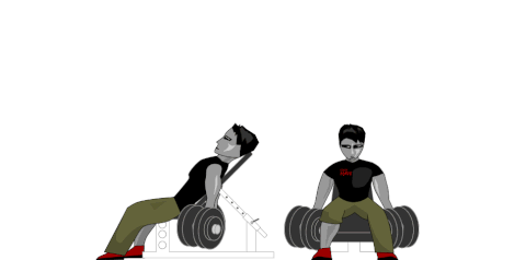biceps GIF