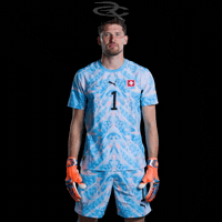 Fifa World Cup Switzerland GIF by Respective