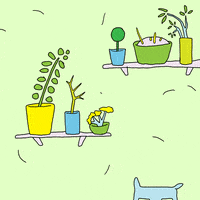 shanebeam art animation plants succulent GIF