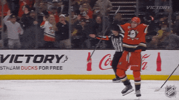 Happy Anaheim Ducks GIF by NHL