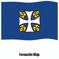 Flag Spain GIF by Formación Ninja