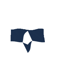 Flag Antarctica Sticker by TrueSouth