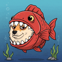 Shiba Inu Swimming GIF by Doge Pound